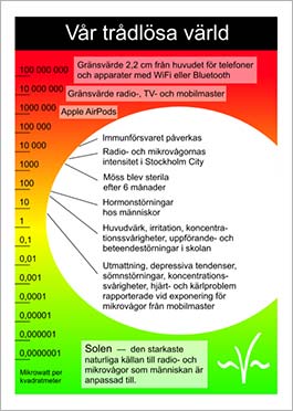 Bild på flygbladet